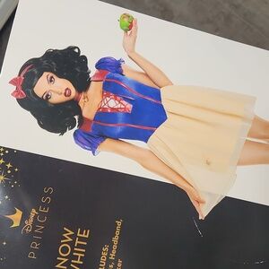 Disney Snow White Adult Costume